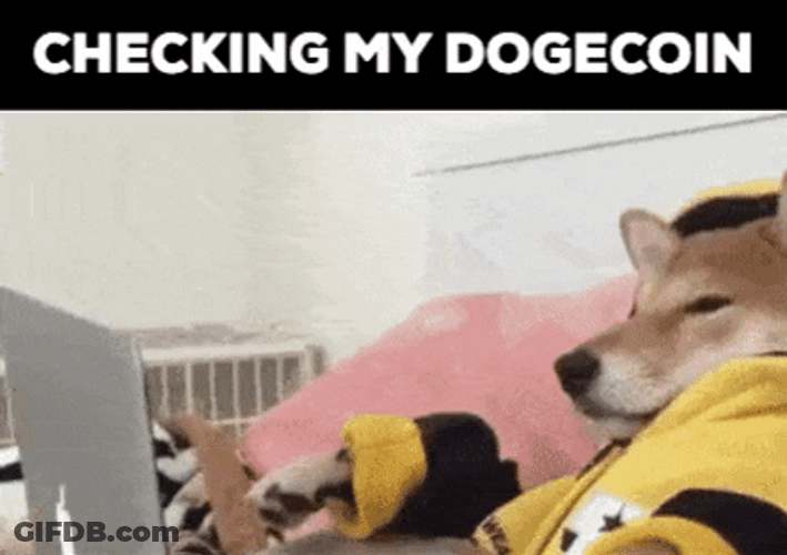 Crypto Dog Dogecoin Check GIF