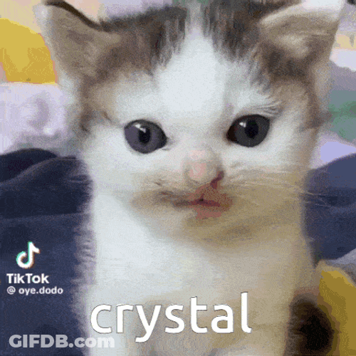 Crystal Xiaomimi GIF
