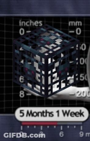 Cube In Cage Saying 5 Months 1 Week GIF