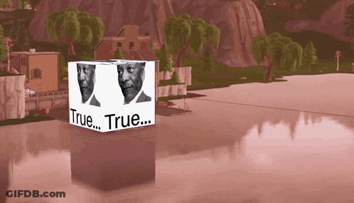 Cube With Two Faces Saying True GIF