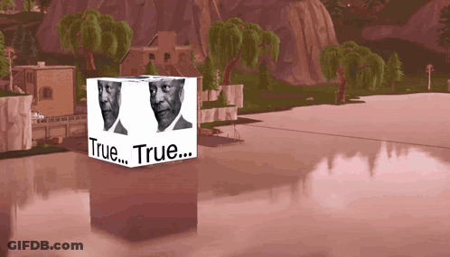 Cube With Two Faces Saying True GIF