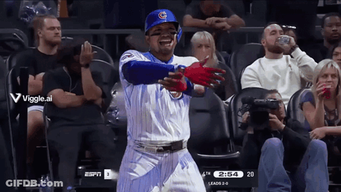 Cubs Baseball Player In Stands GIF