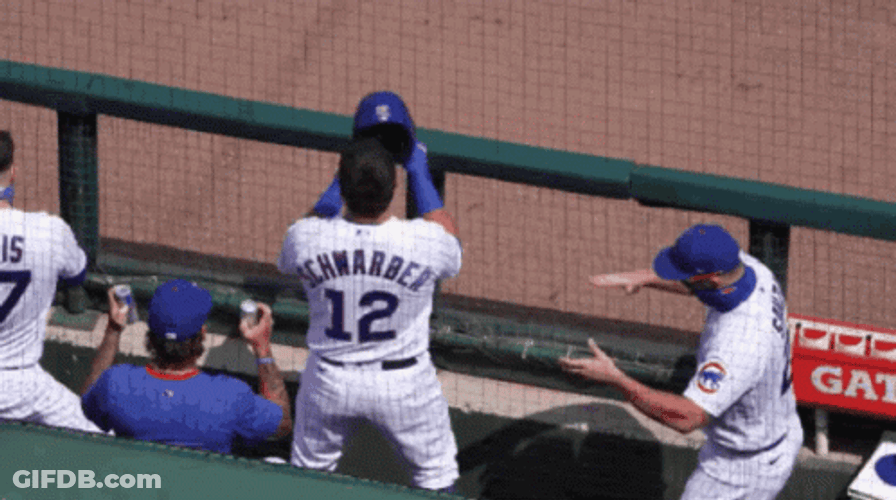 Cubs Bench Players Dancing After Win GIF