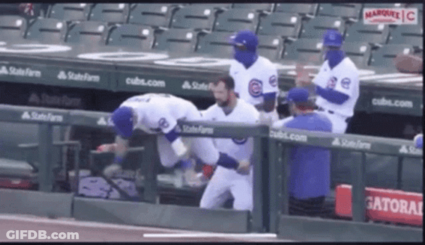 Cubs Player Goofy Win Celebration In The Stands GIF