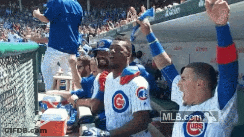 Cubs Players Celebrating In Dugout GIF