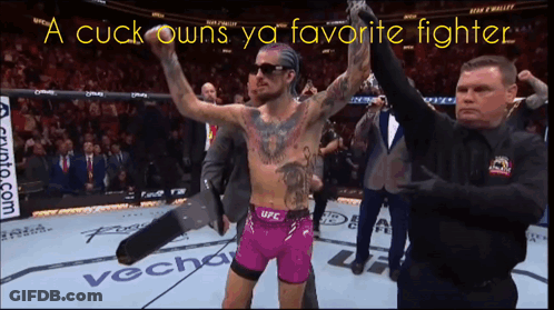 Cuck Owns Ya Favorite Fighter Man GIF