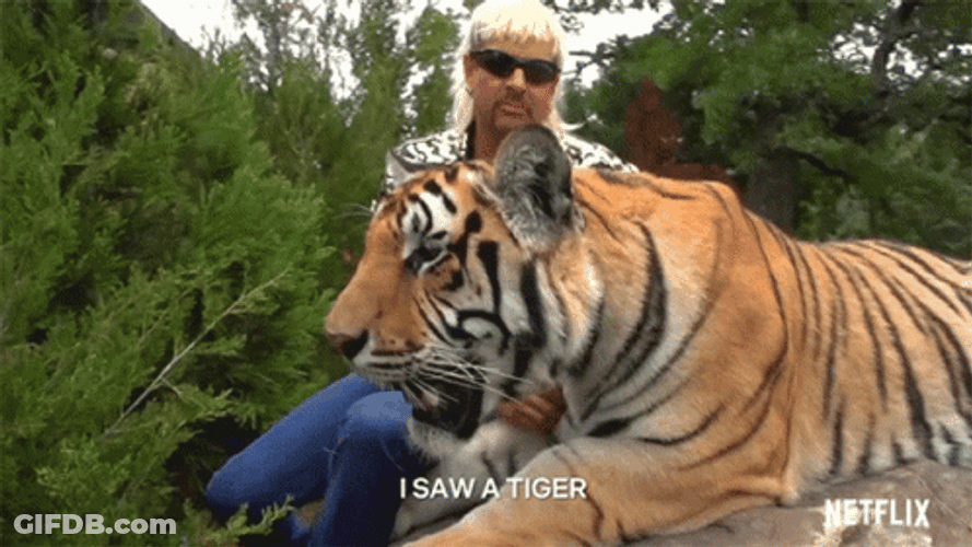 Cuddle With Tiger King GIF