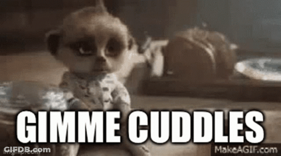 Cuddles GIF