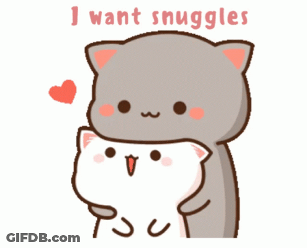 Cuddles Snuggles Mochi Cat GIF