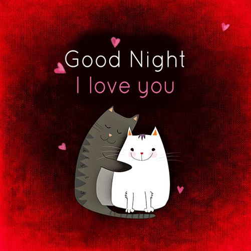 Cuddling Cats I Love You Good Night GIF