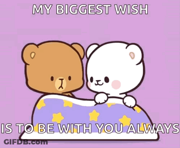 Cuddling Milk And Mocha Bear Biggest Wish GIF