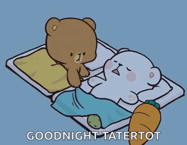 Cuddling Milk And Mocha Bear Goodnight Tatertot GIF