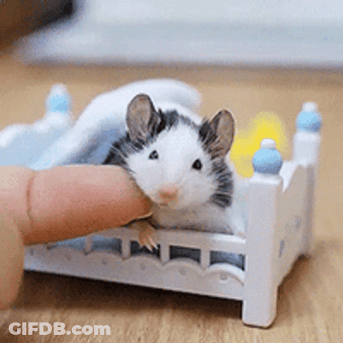Cuddling Mouse Laying In Bed GIF