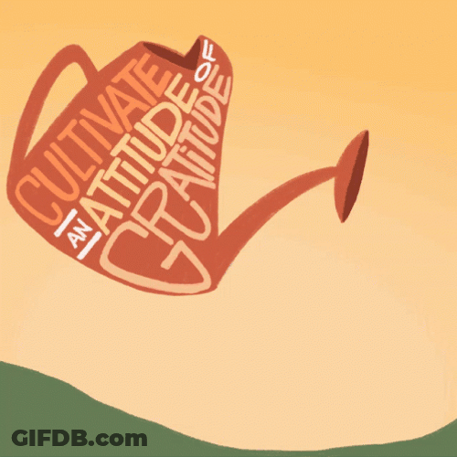 Cultivate Gratitude GIF