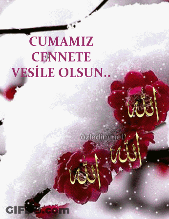 Cumamız Cennete Vesile Olsun Card Red Flowers Snow GIF