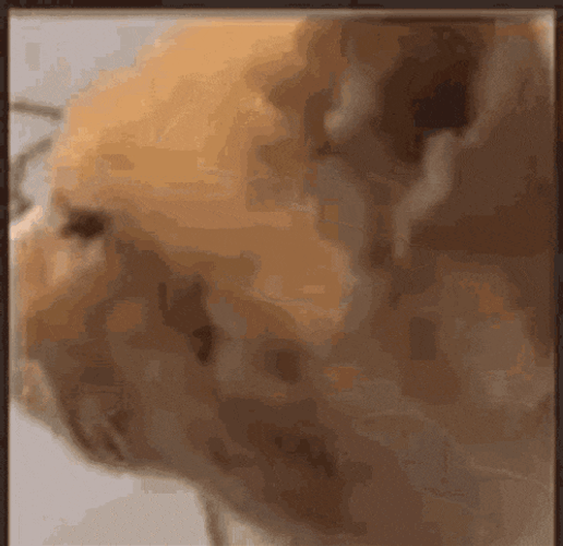 Cummins GIF