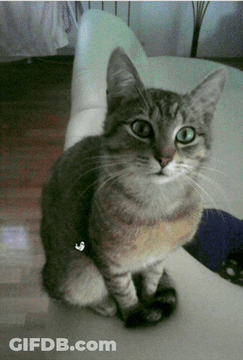 Cumpleaños GIF