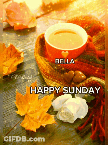 Cup Of Coffee Bella Happy Sunday GIF