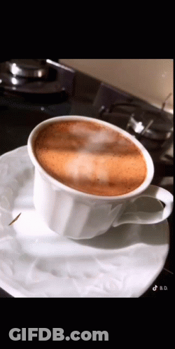 Cup Of Coffee On Saucer On Stove Top GIF