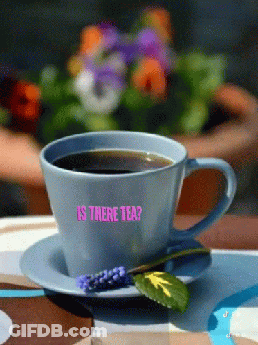 Cup Of Coffee On Saucer With Is There Tea GIF