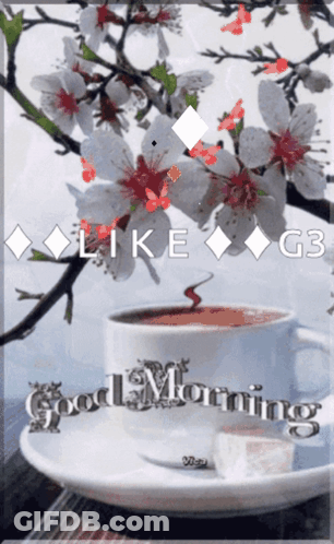 Cup Of Coffee With Good Morning GIF