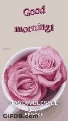 Cup Of Pink Roses Good Morning Have A Blessed Day Brooke GIF