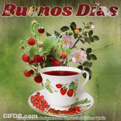 Cup Of Tea With Strawberries And Buenos Dias GIF