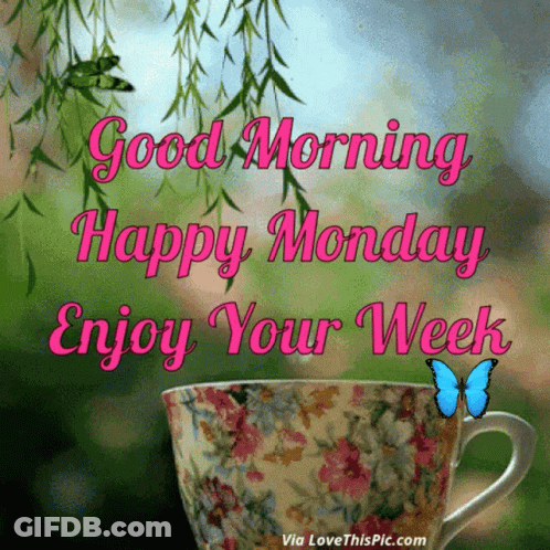Cup Saying Good Morning Happy Monday Enjoy Your Week GIF