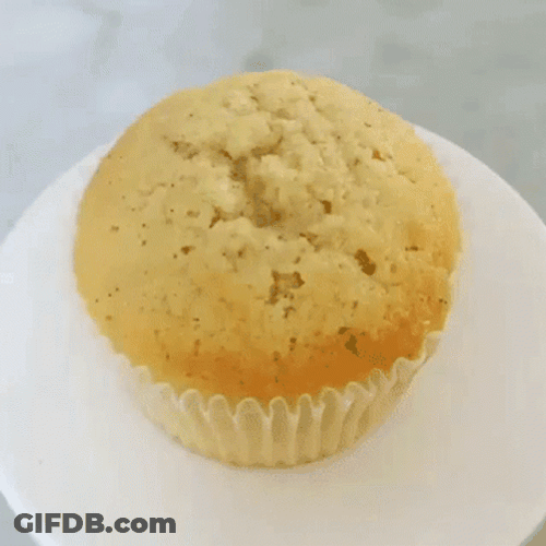Cupcake Pandan Muffin GIF