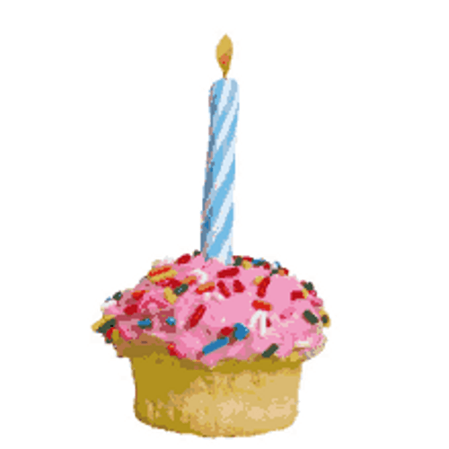 Cupcake With Birthday Candle Getting Eaten GIF