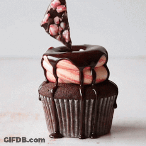 Cupcake With Chocolate On Top GIF