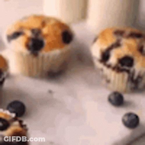 Cupcakes With Blueberries GIF