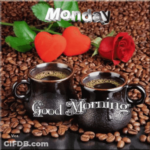 Cups Of Monday Coffee With Beans GIF