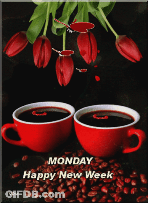 Cups Of Monday Coffee With Red Tulips GIF