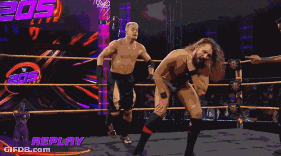 Curb Stomp Orca Vs Shark GIF