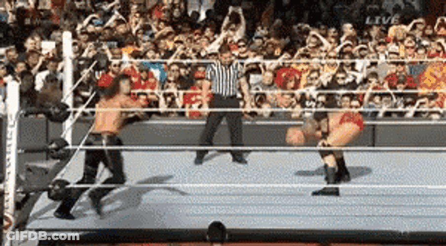 Curb Stomp Rko Knockout Smackdown GIF