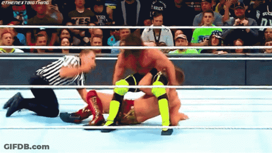 Curb Stomp Seth Rollins And Do Backflipped GIF