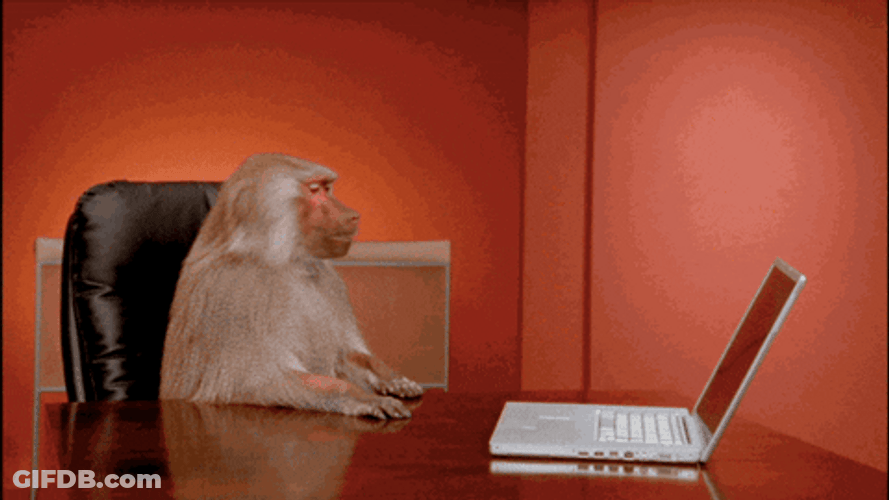 Curious George Angry Monkey Throw Laptop GIF