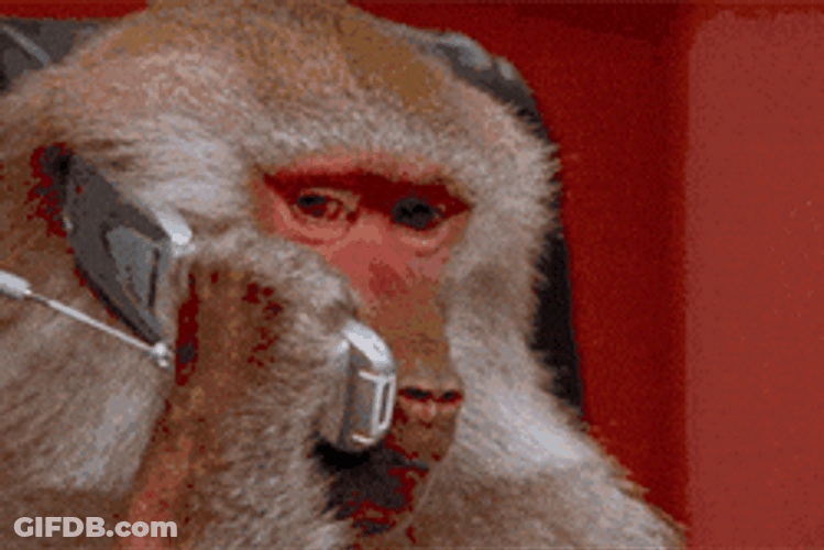 Curious George Calling On Phone GIF