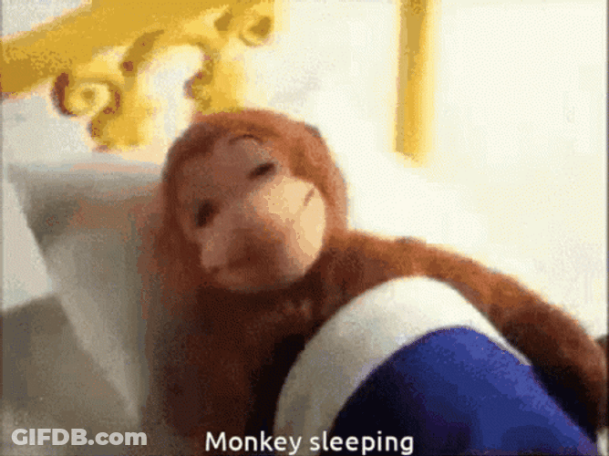 Curious George Monkey Sleeping GIF