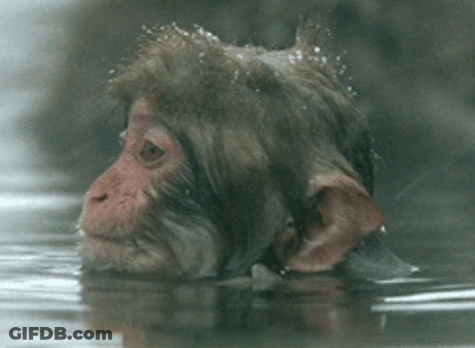 Curious George Soaking Wet GIF