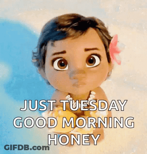 Curious Little Moana Good Morning Honey GIF