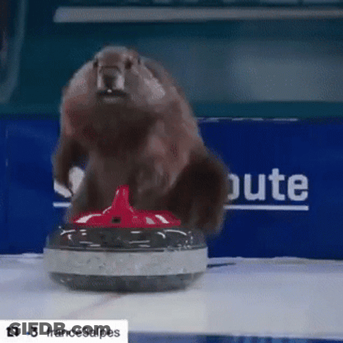 Curling GIF