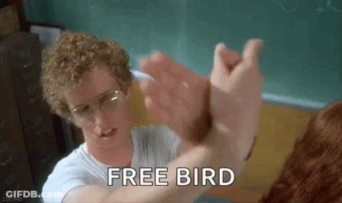 Curly Haired Man Holding Cat's Hand Free Bird GIF