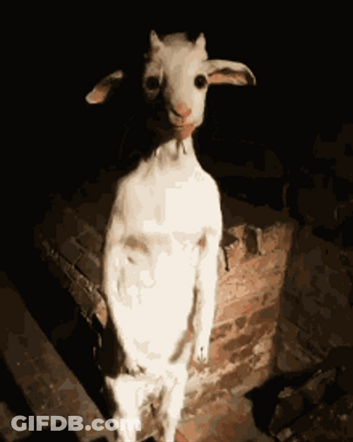 Cursed Standing Goat Blank Staring GIF