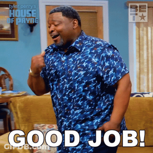 Curtis Payne Good Job Meme GIF