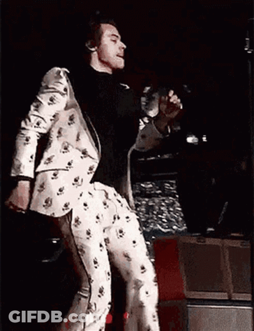 Curtsy Harry Stiles Concert GIF