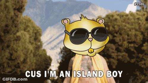 Cus I 'M An Island Boy Is Written On A Poster GIF