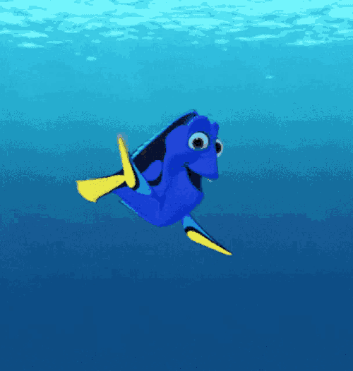 Cushelle GIF