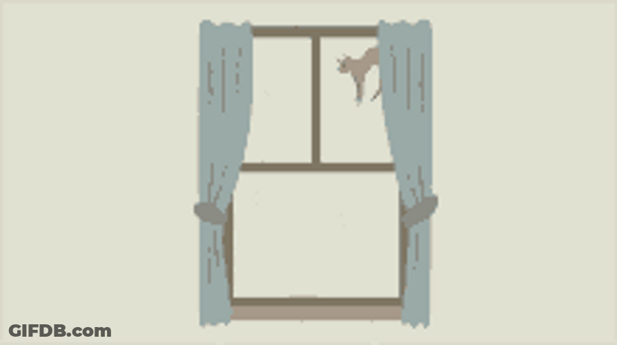 Cute Aesthetic Raining Cats And Dog Window GIF